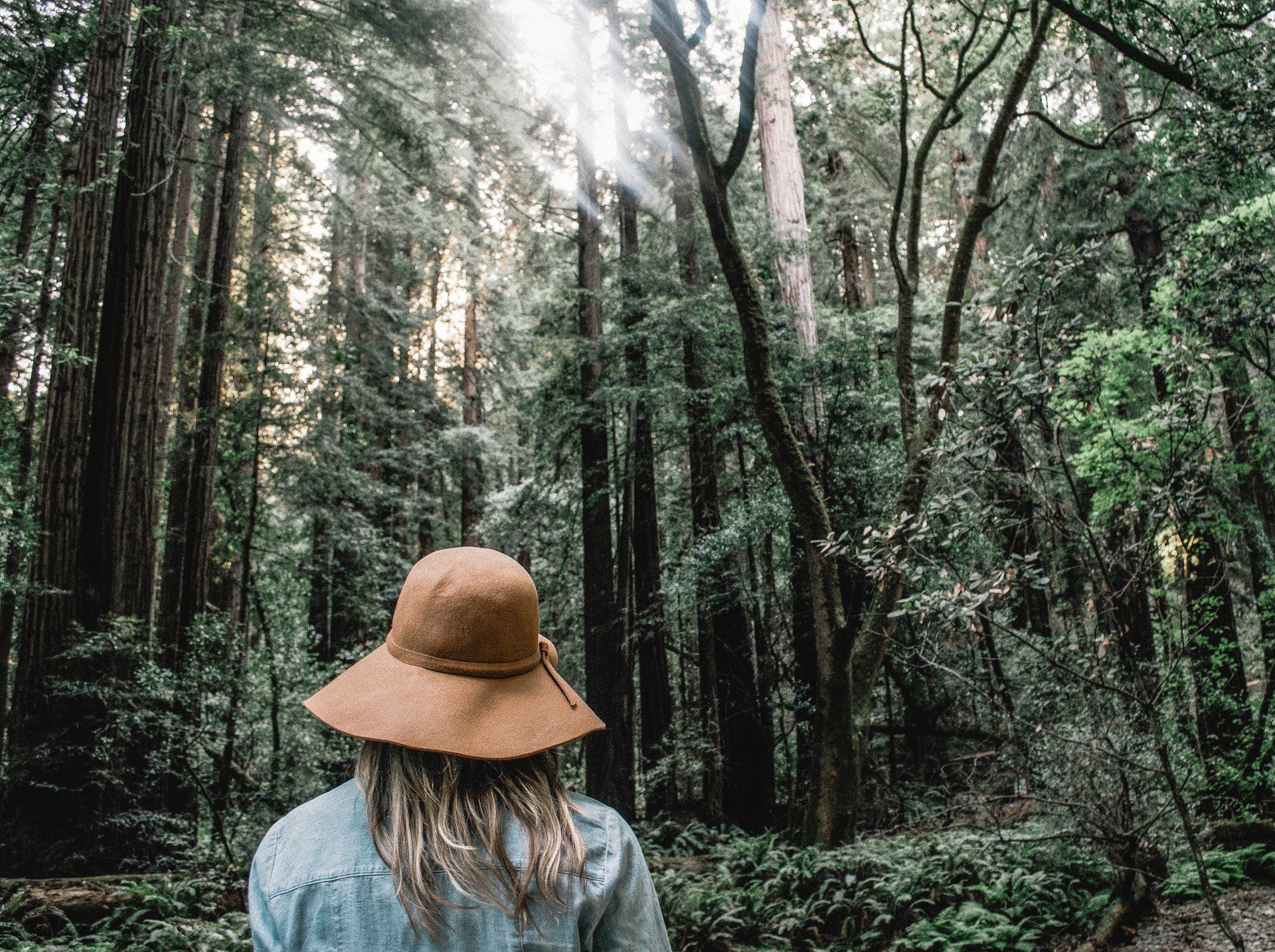 nature's effect on mood and well being
