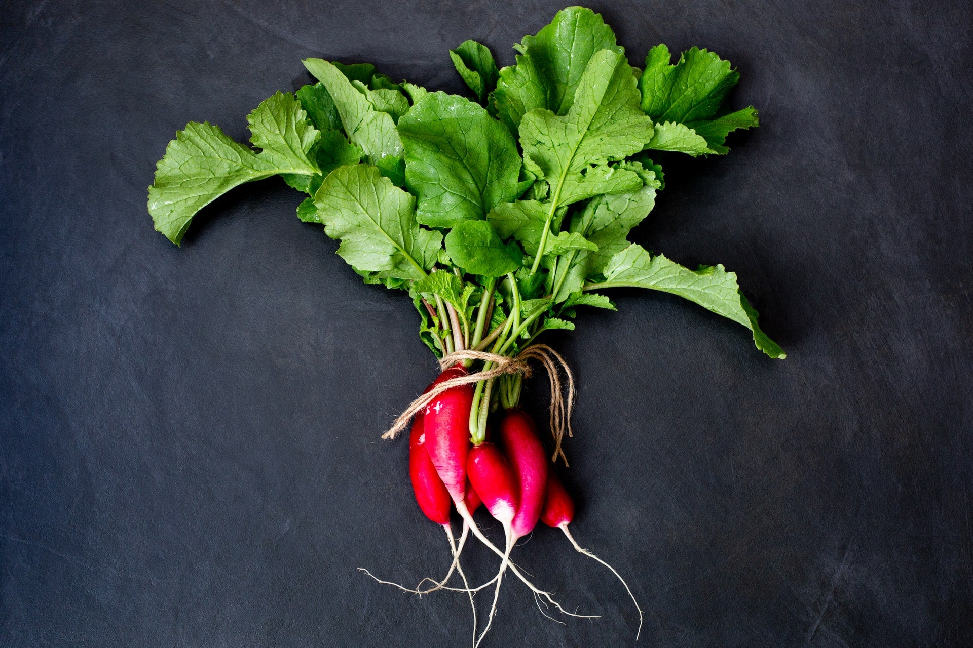 Radish Root Ferment Filtrate - Nature's probiotic preservative
